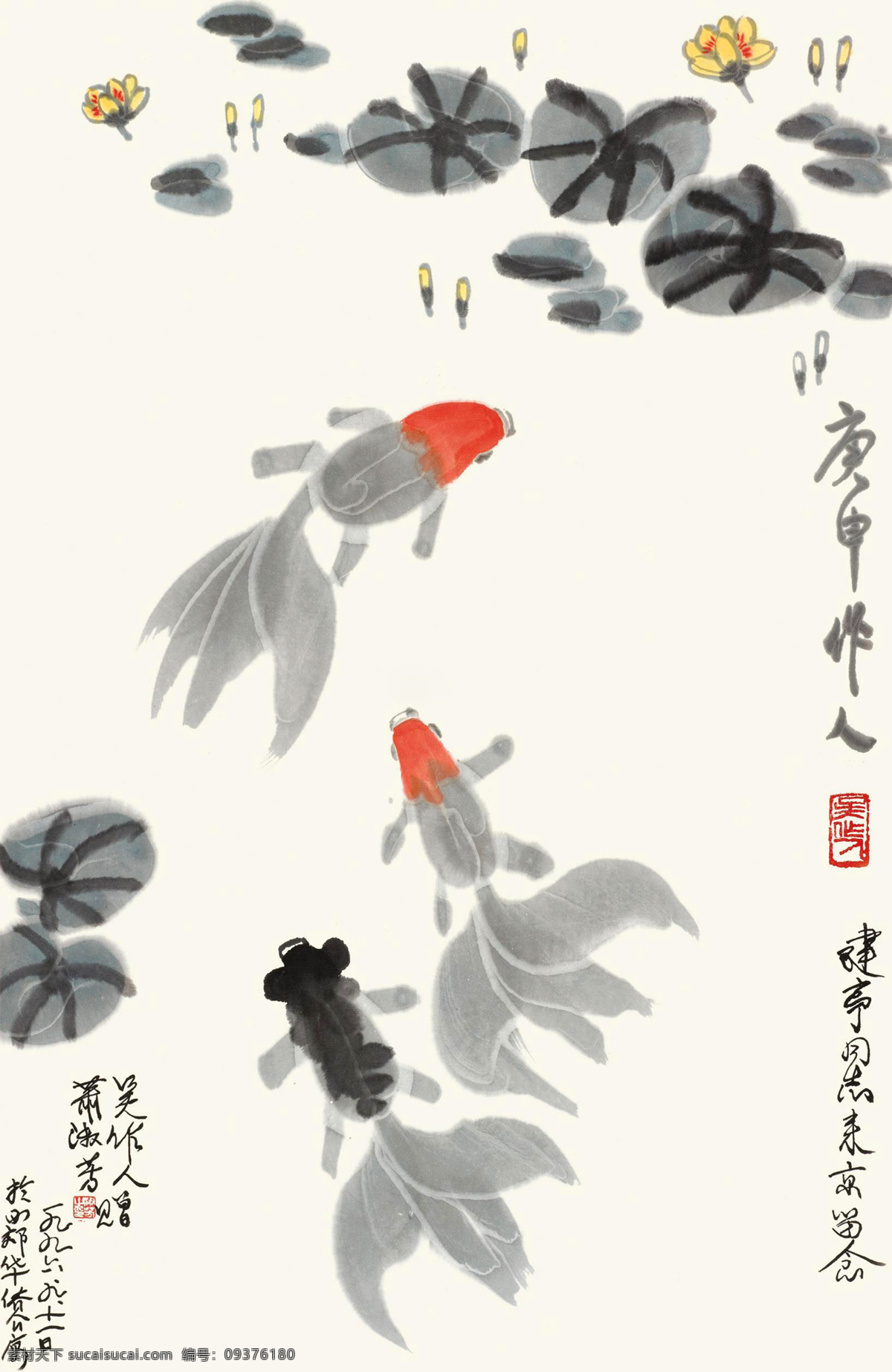 莲池鱼戏素材图片下载-素材编号09376180-素材天下图库