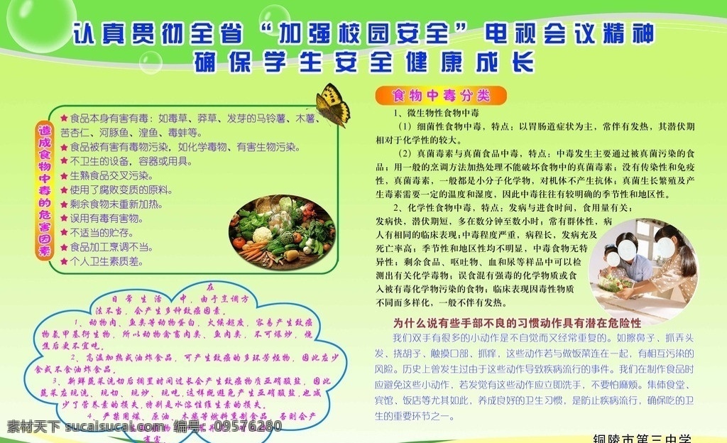 中学生 食品安全 卫生常识 暑期安全 造成 食物中毒 危害 因素 食物中毒分类 为什么 有些 手部 不良 习惯 动作 具有 潜在 危险性 蝴蝶 蔬菜 展板模板 广告设计模板 源文件