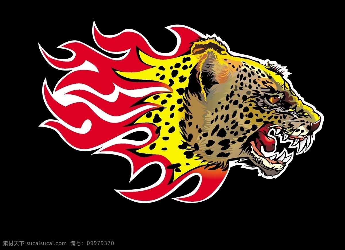 豹子 头 火焰 豹纹 广告 豹子头火焰 广告艺术效果 黑色