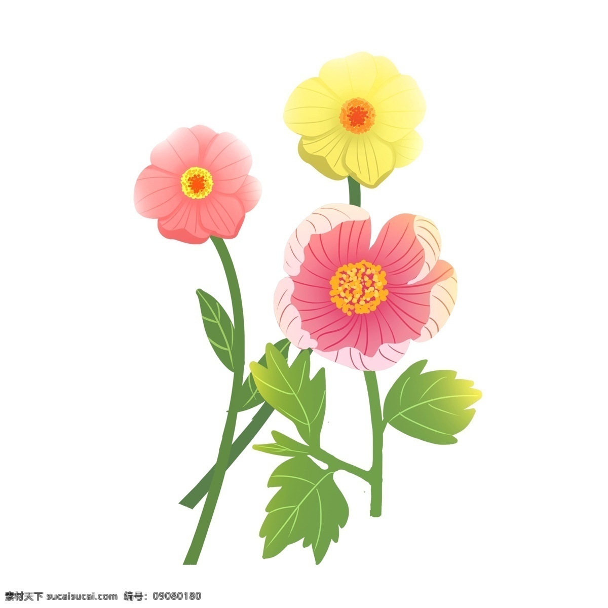 唯美 手绘 花卉 透明 装饰 免 扣 花朵 透明素材 卡通素材 叶子