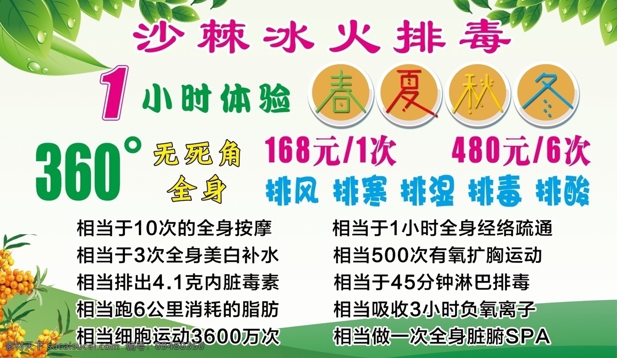 沙棘冰火排毒 沙棘 绿叶 水珠 水滴 绿色渐变 春夏秋冬 360度排毒 沙棘好处 分层