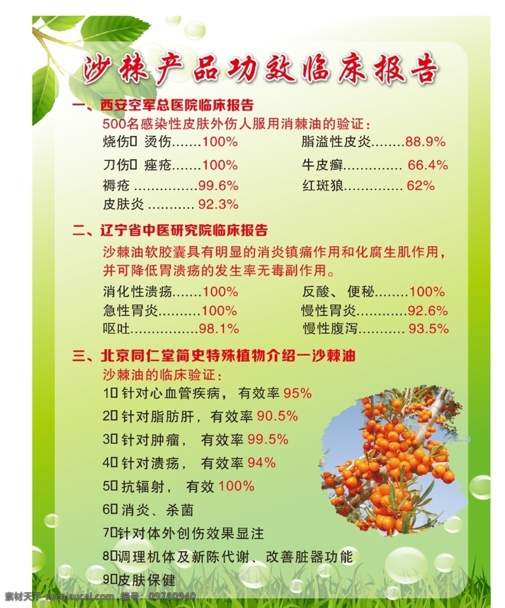 沙棘 产品 功效 临床 报告 沙棘产品 功效临床报告 西安空军 中医研究院 烧伤 烫伤 脂溢性皮炎 沙棘油 宣传栏 展板