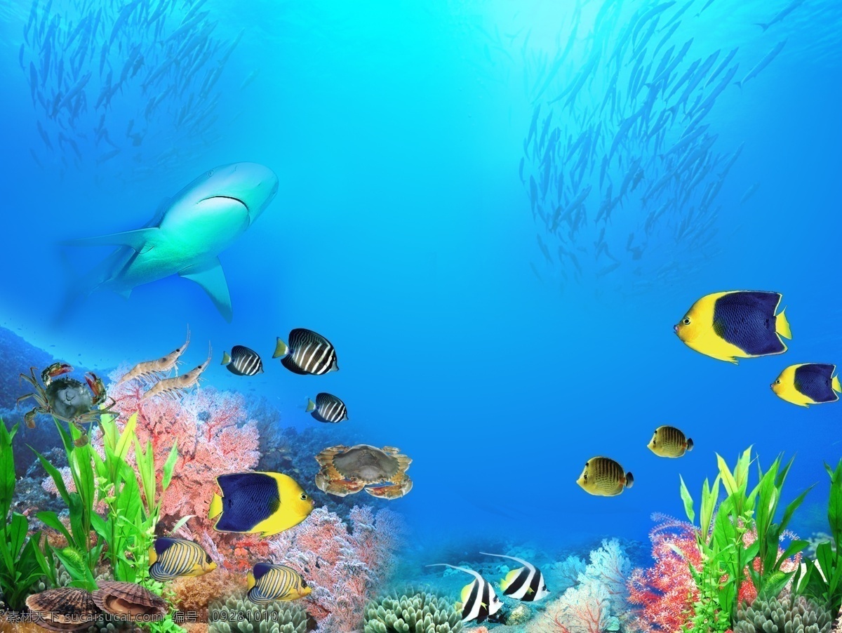 海底世界 热带鱼 鲨鱼 珊瑚 螃蟹 大虾 海草 鱼群 海底的蓝色 分层 源文件