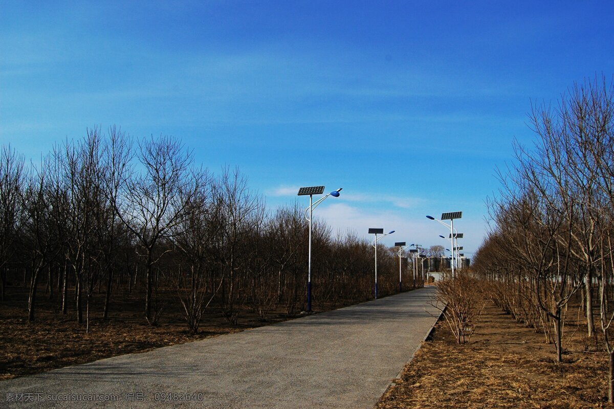 太阳能 路灯 太阳能路灯 路灯和蓝天 现代科技 黑色