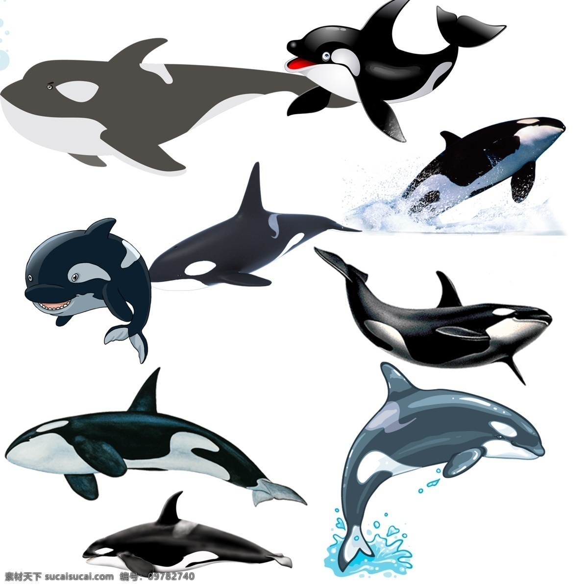 鲸鱼 免 扣 高清 素材图片 鲸鱼png 文件 鲸鱼免扣素材 鲸鱼素材 生物世界 野生动物