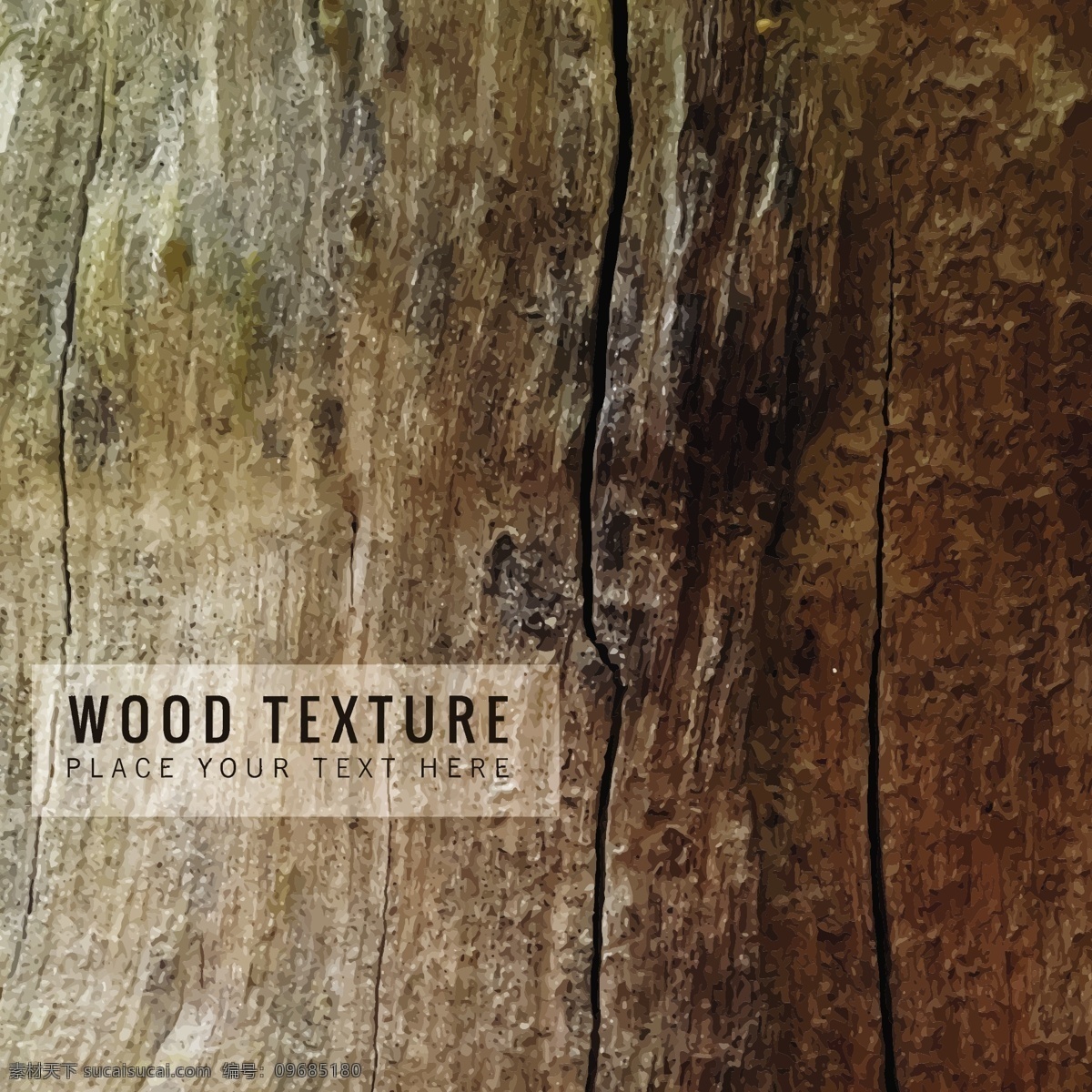 美丽 木材 纹理 背景 抽象 质地 自然 板 木结构 木背景 木 自然背景 木板 质地背景 背景纹理 黑色