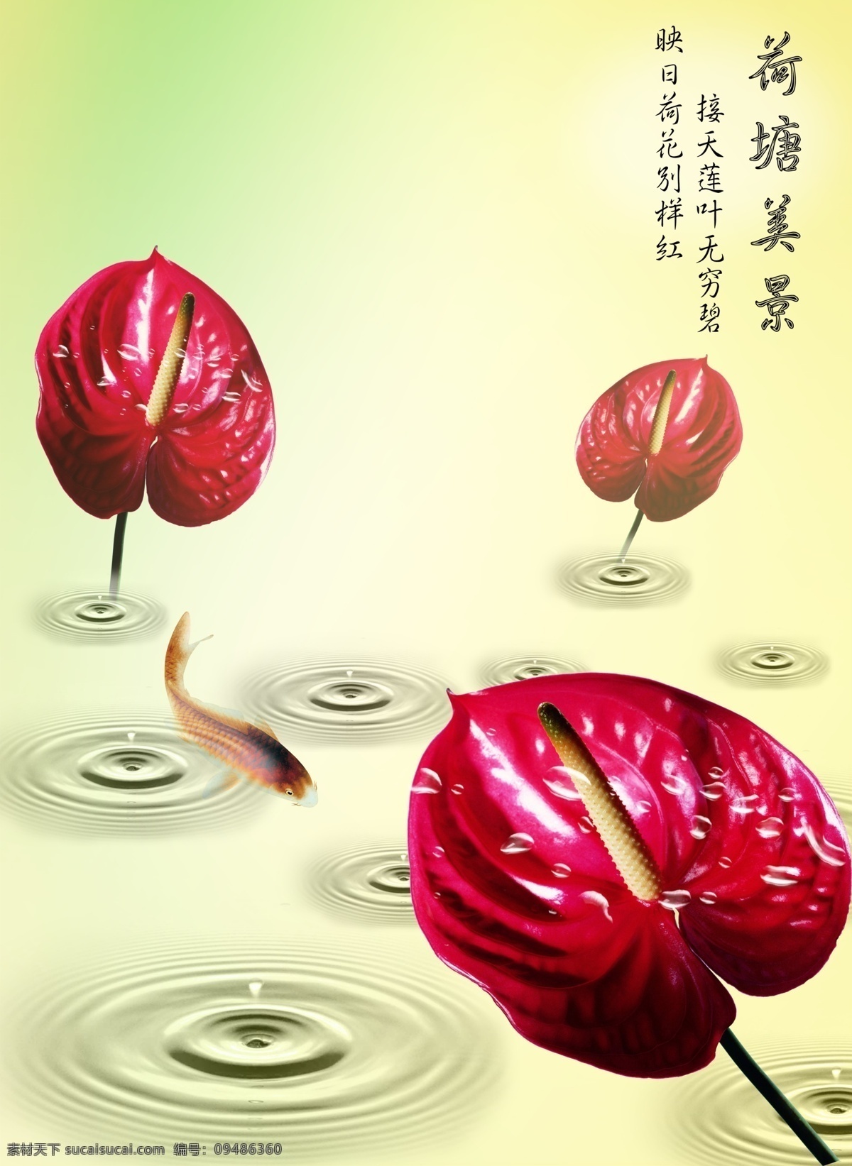 荷塘 美景 商撩谰 装饰素材 移门