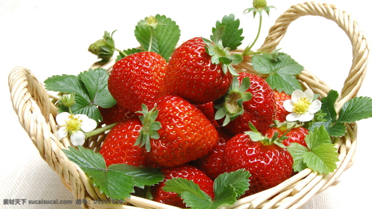草莓 洋莓 地莓 地果 红莓 士多啤梨 水果 蔬菜 美食 美味 植物 静物微距 生活百科 生活素材