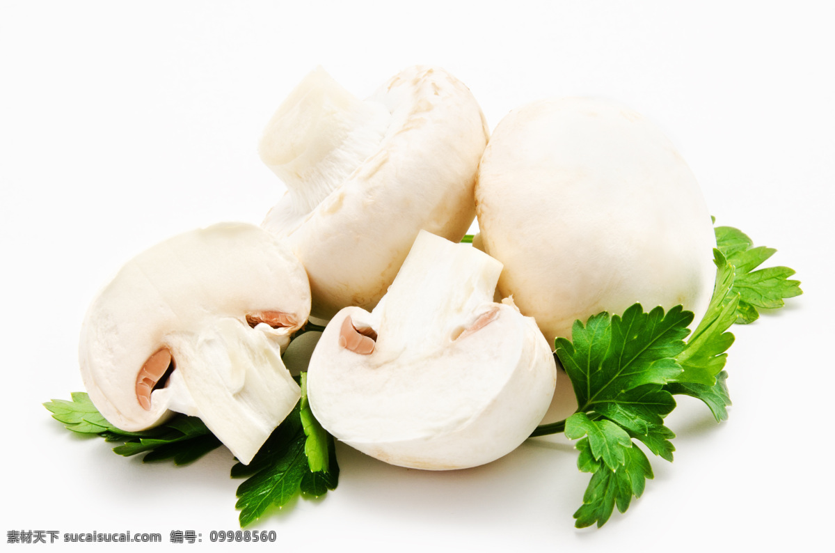 四 磨 菇 磨菇 香菇 蔬菜 新鲜蔬菜 食物原料 食材原料 食物摄影 餐饮美食