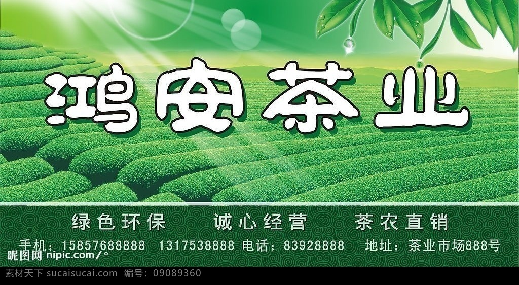 鸿 安 茶业 店面 广告 茶 茶叶 古典 茶山 茶园 招牌 绿色 高精度 矢量图库