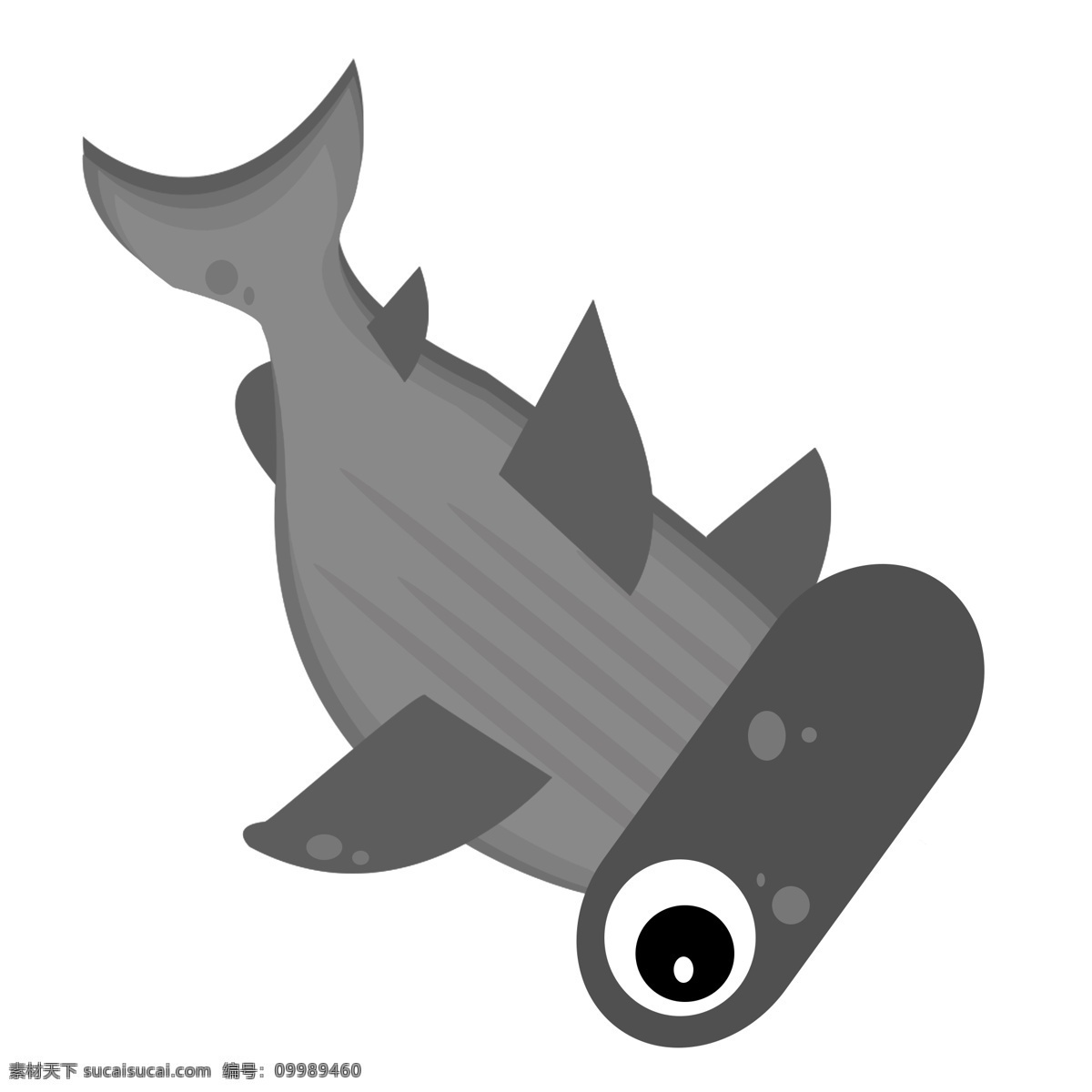 黑色海洋小鱼 鱼类 动物 海洋生物