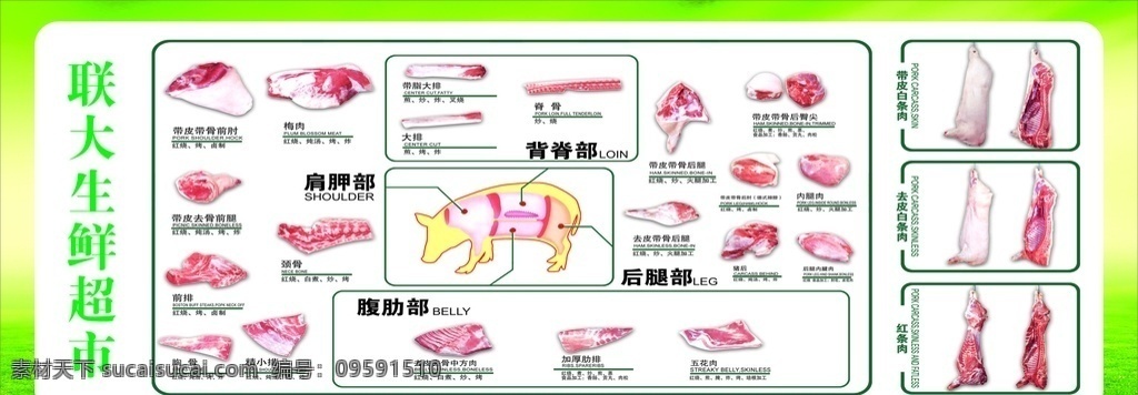 猪肉解剖全图 猪肉示意图 前腿肉 猪全图 猪肉全图 猪肉标准图