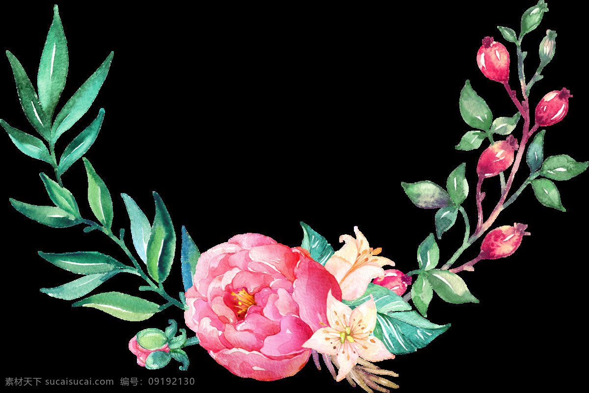火红 鲜花 透明 花卉 卡通 抠图专用 装饰 设计素材