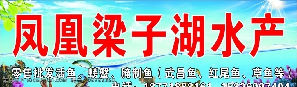 梁湖水产 螃蟹 鲜鱼 财鱼 水底 阳光 蓝天 白云 招牌 店招