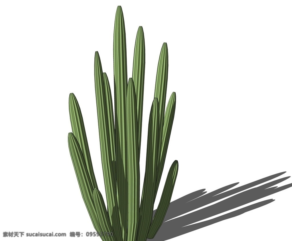 su植物模型 仙人掌 su仙人掌 仙人掌模型 su植物素材 sketchup 植物 su树 3d植物模型 景观设计 园林设计 植物素材 su配景 skp植物 草图大师植物 景观 su模型 su3d树 su植物 环境设计 skp