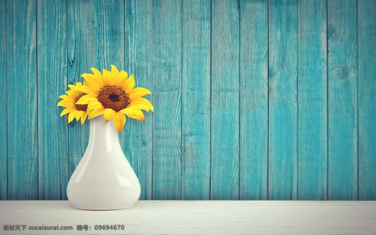 靠着 木板墙 向日葵 插花 花朵 花卉 植物 生物世界 花草