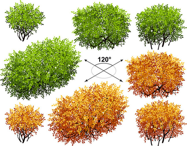 园林 树木 矢量 绿化 四季 园艺 植物