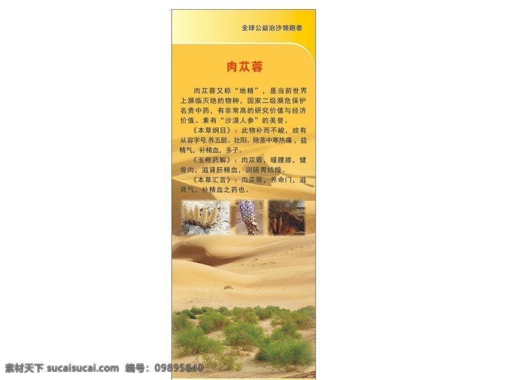 环保 志愿者 展架 背景 海报 治沙 肉榕树 种树 沙漠 矢量