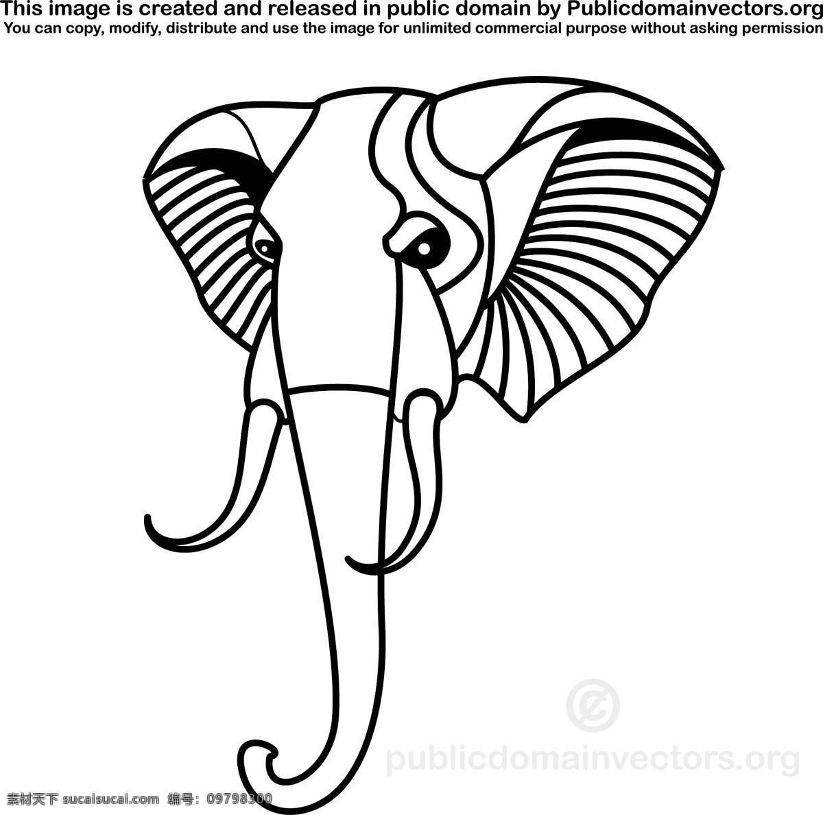 大象 矢量 剪贴 画 动物 野生 头 黑 白 象牙 躯干 白色