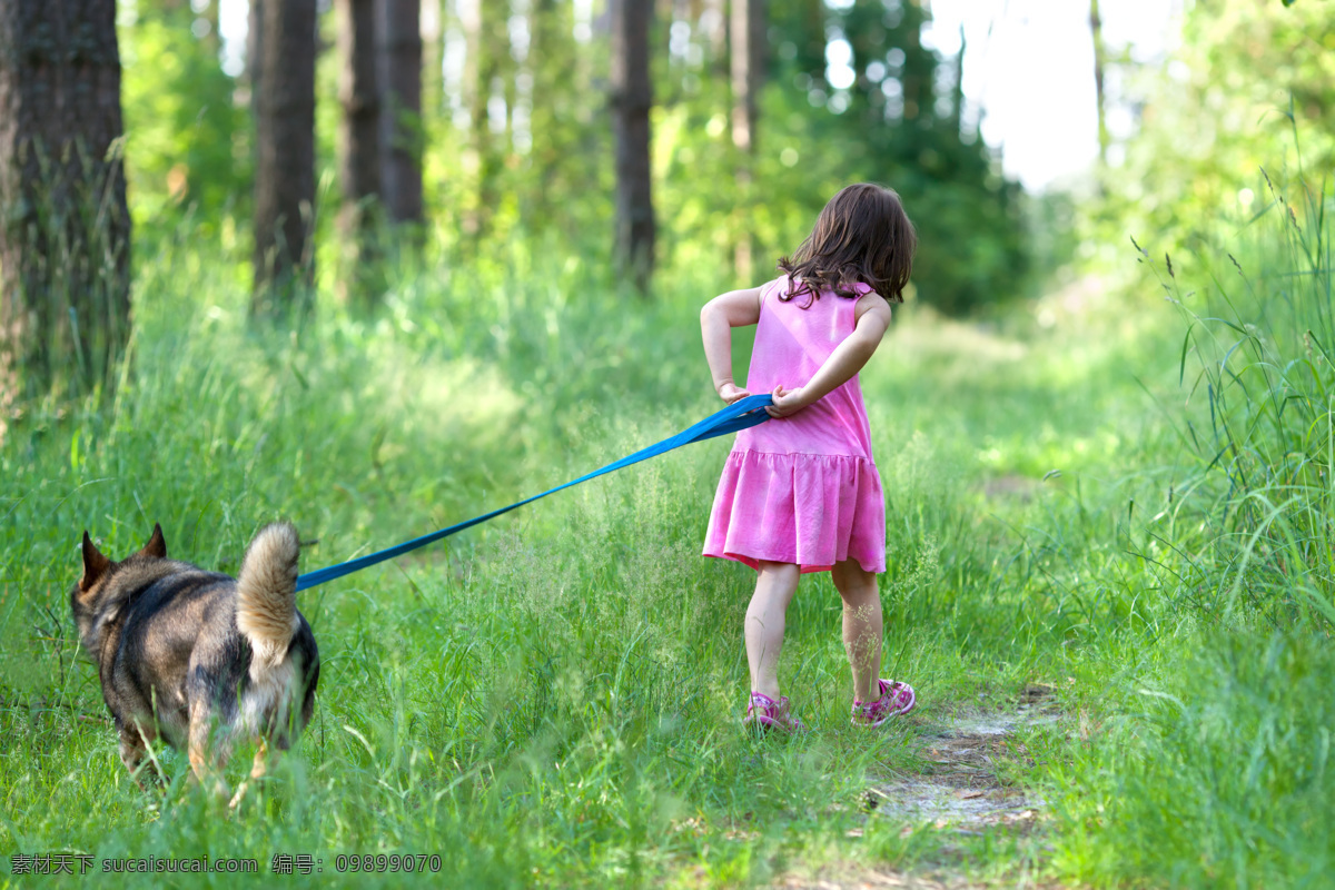 草地 上 溜 狗 小女孩 溜狗 动物 人物 生活人物 人物图片