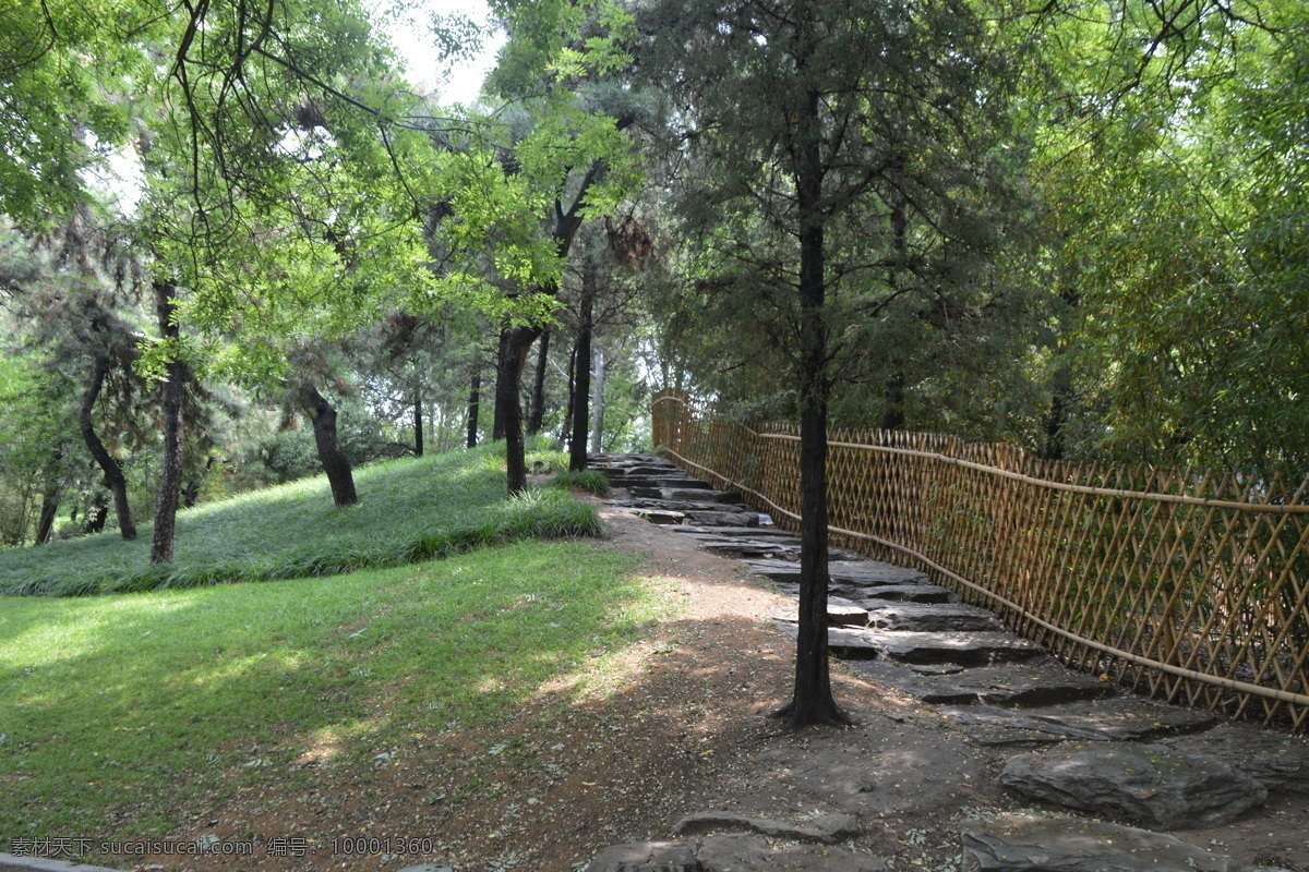 绿化景观 竹篱笆 石台阶 树林 绿地 草地 花草 树木 枝叶 绿树 园林景观 建筑园林 园林建筑