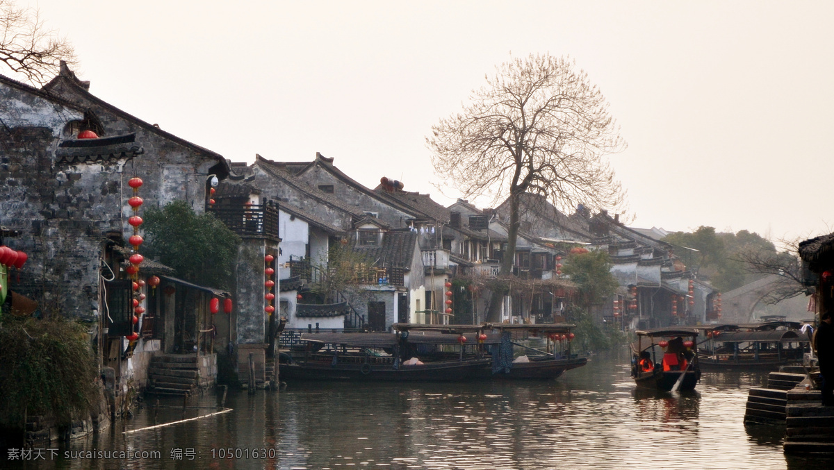 西塘 风景 旅游 冬季 国内旅游 旅游摄影 白色