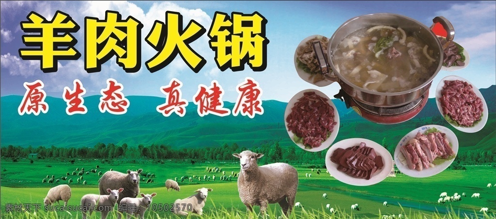 草原 羊群 火锅 羊肉火锅 蓝天白云