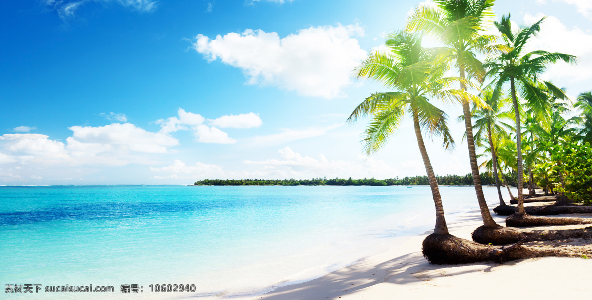 沙滩海边 沙滩 海边 海岸 阳光 椰树 夏天 夏威夷 大海 蓝天 白云 海水 自然景观 自然风景