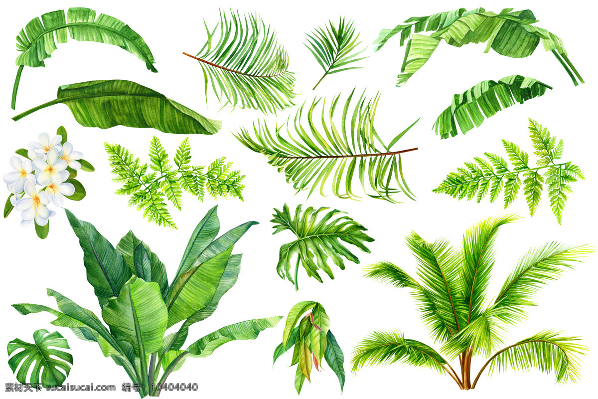 热带 数码 印花 图案 植物数码