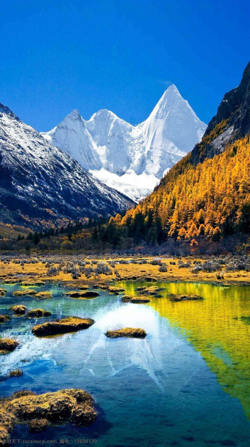 壮观 高原 雪山 风景 图 蔚蓝的天空 雪白的山峰 青山 松树 树林 碧蓝的湖水 自然景观 山水风景