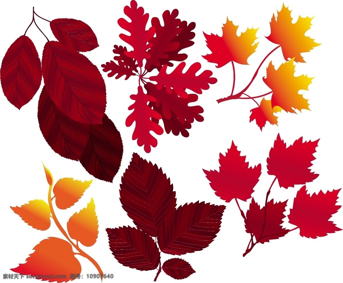 组 秋天 红叶 枫叶 剪影 模板 设计稿 树叶 素材元素 植物 源文件 矢量图