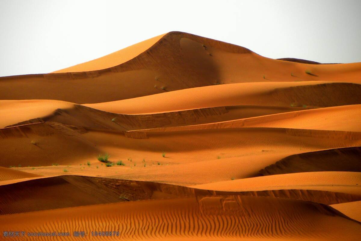 沙丘 黄色 沙尘 沙漠 背景 壁纸 自然景观 自然风景
