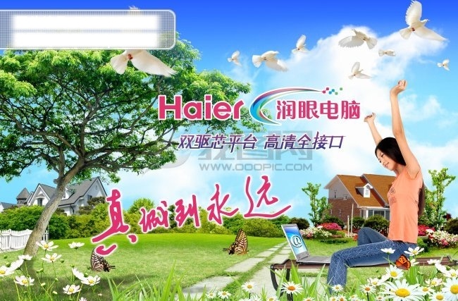 海尔 润 眼 笔记本 电脑 宣传海报 海报 dm 宣传单 海报模板 海报素材 彩页