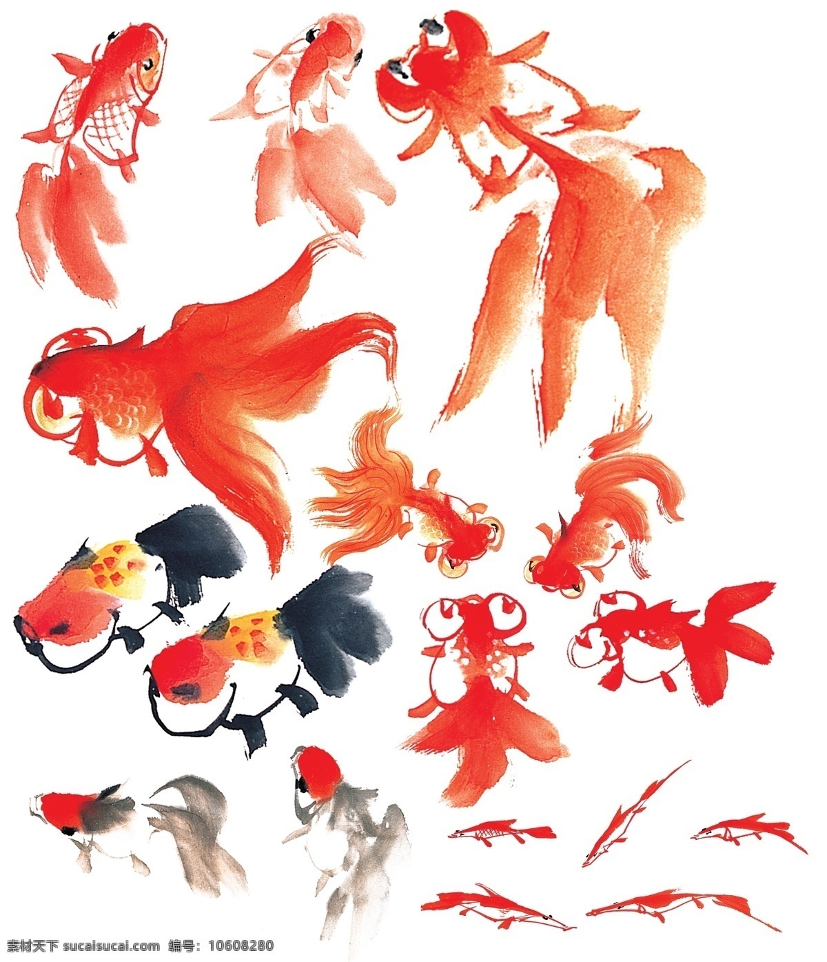 中国画金鱼 手绘动物 卡通动物 动物插画 中国风动物 水墨画动物 水墨画金鱼 金鱼绘画 金鱼水墨画 写意画金鱼 金鱼写意画 中国风绘画 海洋生物 鱼绘画 红色金鱼 油画绘画美术