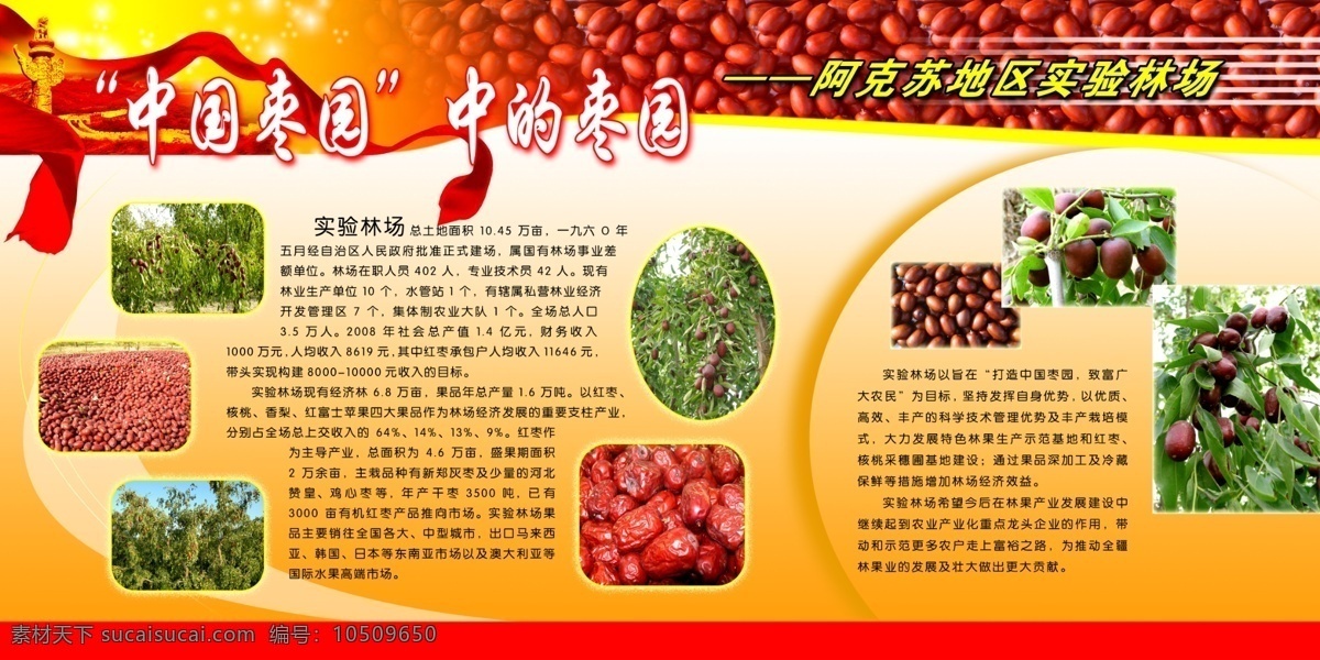 中国枣园 红枣 版面 展板模板 枣园 实验林场 枣树 广告设计模板 源文件