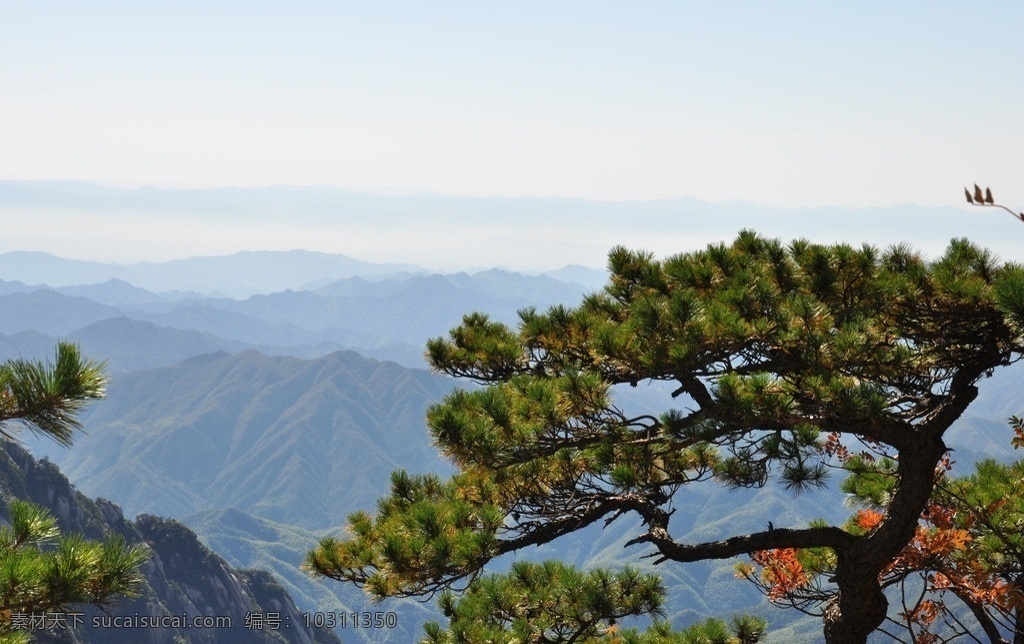 黄山 迎客松 风景 旅游 美丽 山水风景 国内旅游 旅游摄影