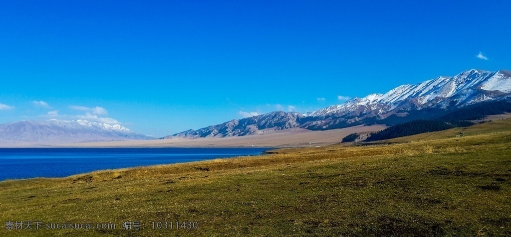 赛里木湖 净海 中国 新疆 博尔塔拉州 博乐市 北天山山脉 高山湖泊 蓝宝石湖 湛蓝 湖水 草原 蓝天 辽阔 远山 秋天 秋色 黄色 赛里木湖hx 旅游摄影 国内旅游