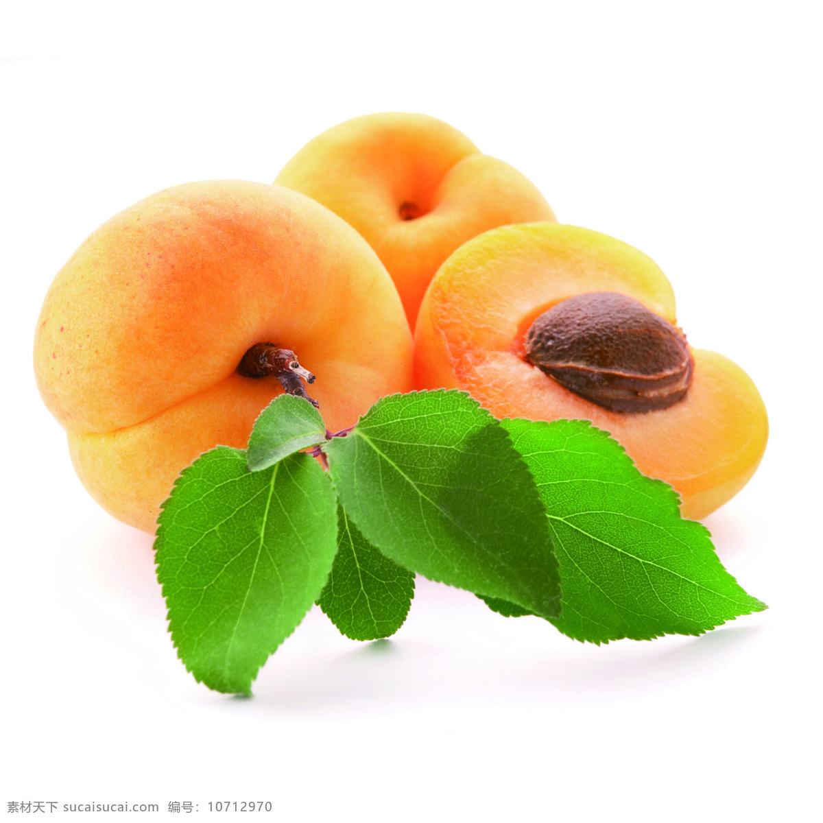 桃子 树梢鲜果 水蜜桃 硕果 鲜果 黄桃 生物世界 水果