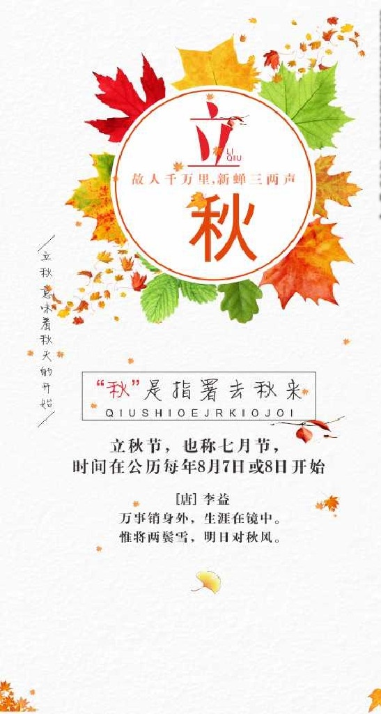 立秋 24节日 秋天海报 黄色 枫叶 枫树 传统节气 秋季开始 暑去凉来 树叶 海报 节气微推