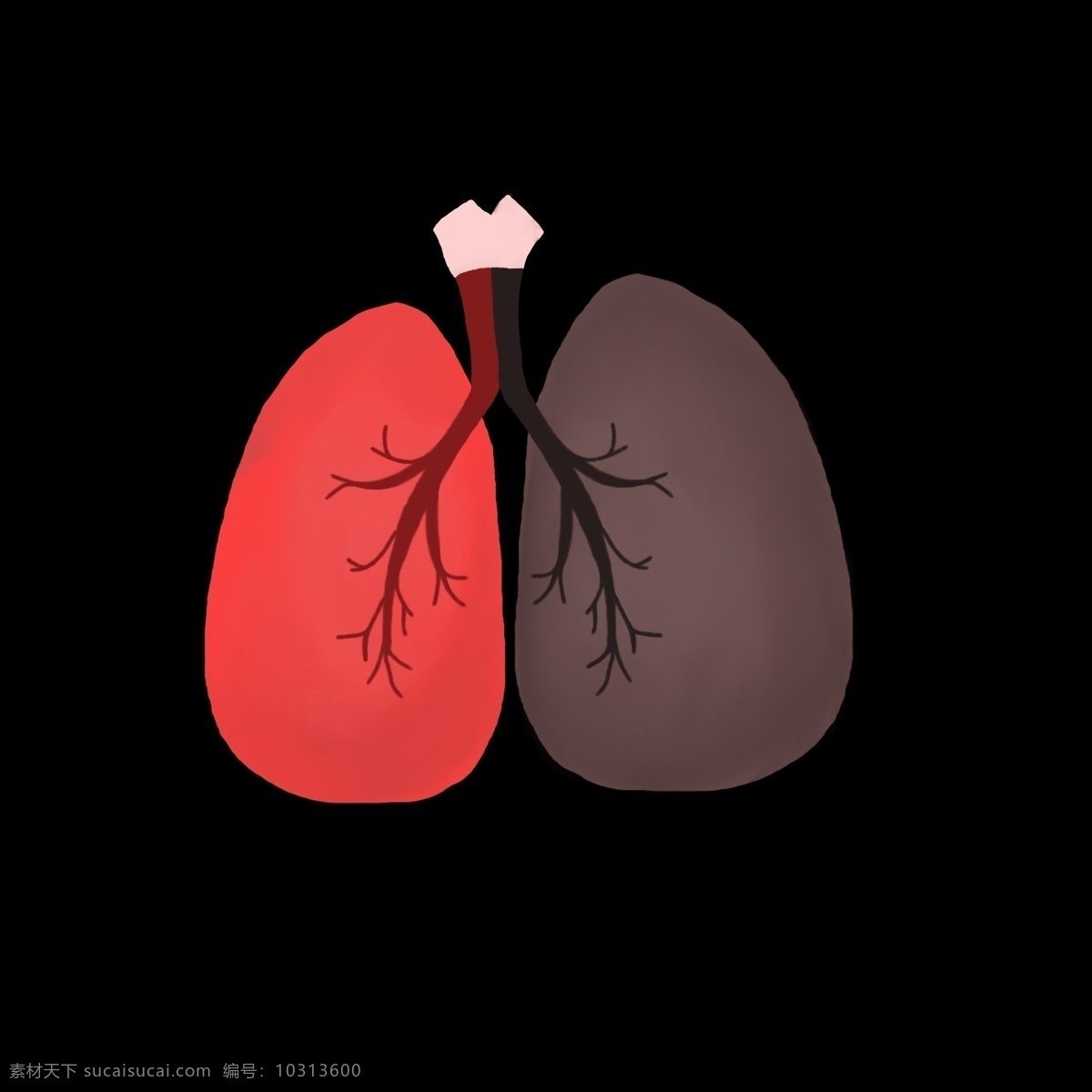 远离 肺结核 禁止 吸烟 医疗 爱护肺部 禁止吸烟 肺部健康
