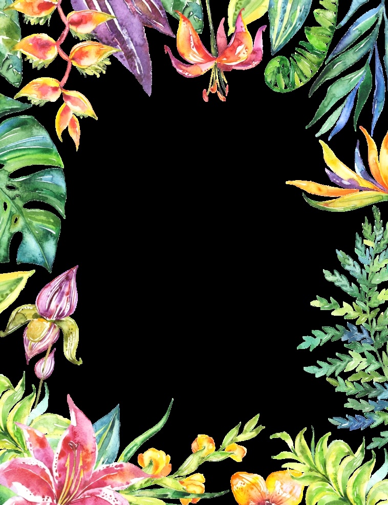 手绘植物边框 手绘 边框 植物 彩色