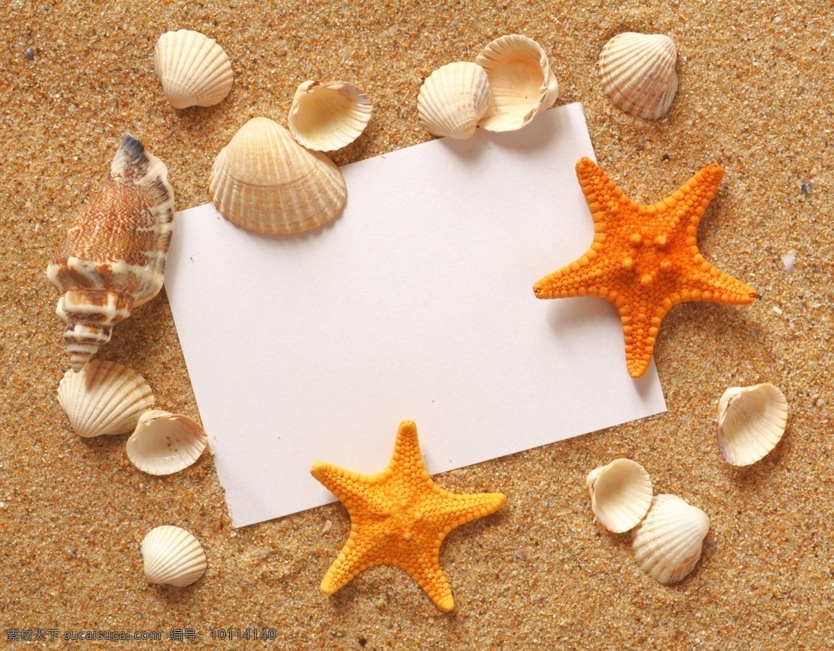 沙滩 上 贝壳 白纸 特写 海星 留言纸 珍珠 沙子 晶莹 剔透 珠宝 贝 高清图片 其他生物 生物世界