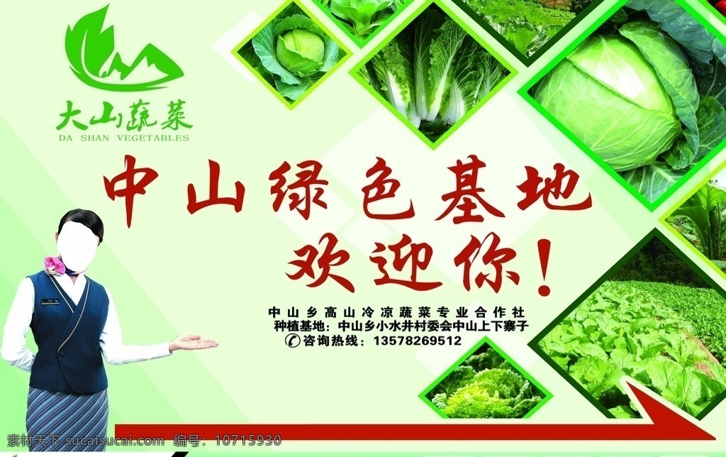 大山 蔬菜 中山 基地 大山蔬菜 绿色 中山基地 绿色食品 有机 有机食品 无污染 水果蔬菜 海报设 海报 户外