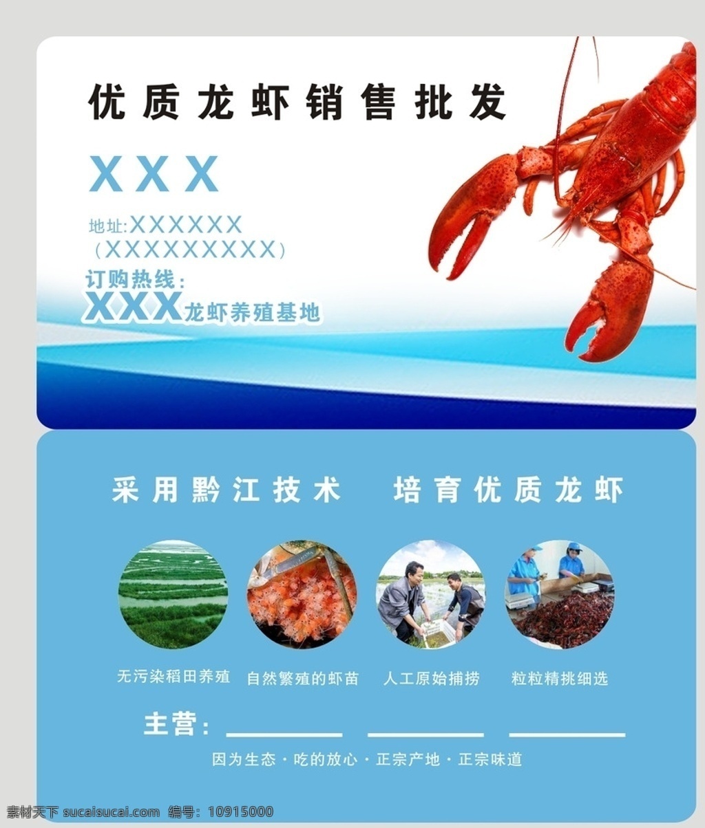 小 龙虾 养殖 销售 批发 名片设计 小龙虾 垂钓 水产 蓝色 名片