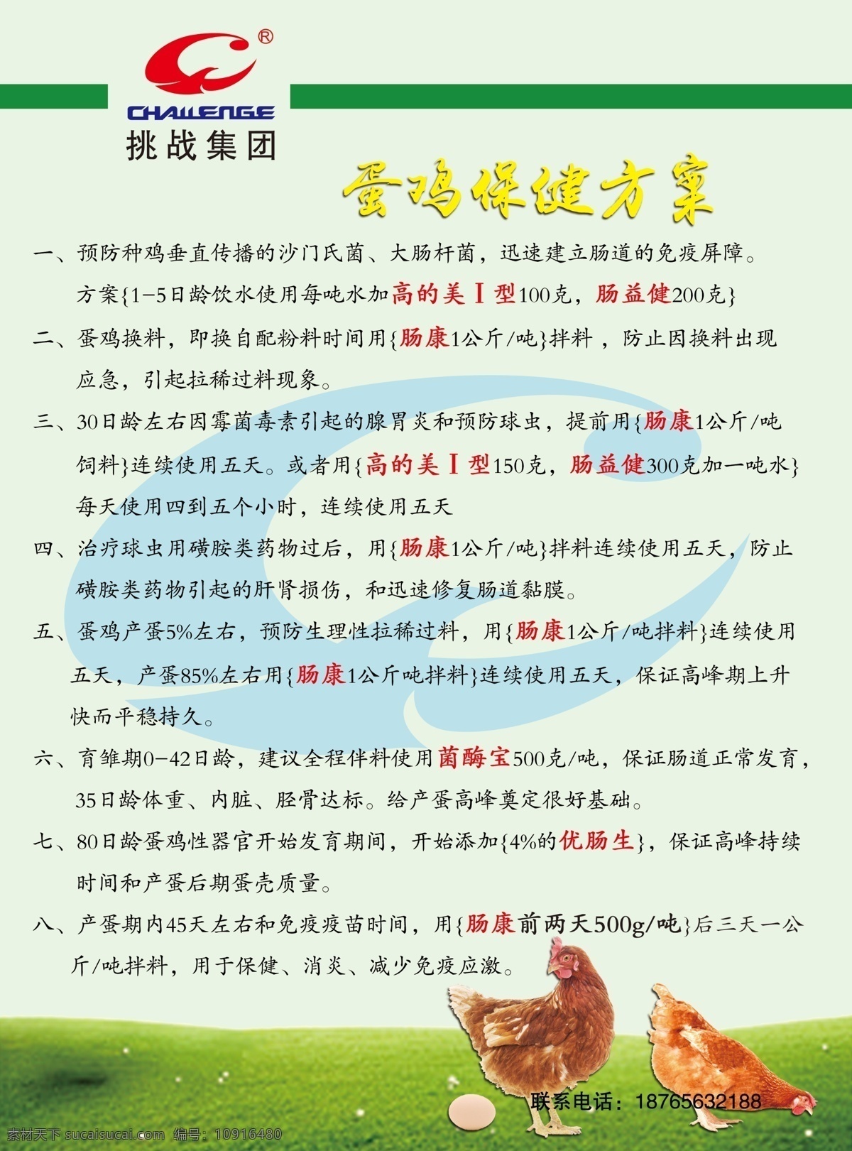 蛋鸡保健 禽用 微生物 制剂 兽药 饲料 丁酸钠 肠道 蛋鸡 保健 分层