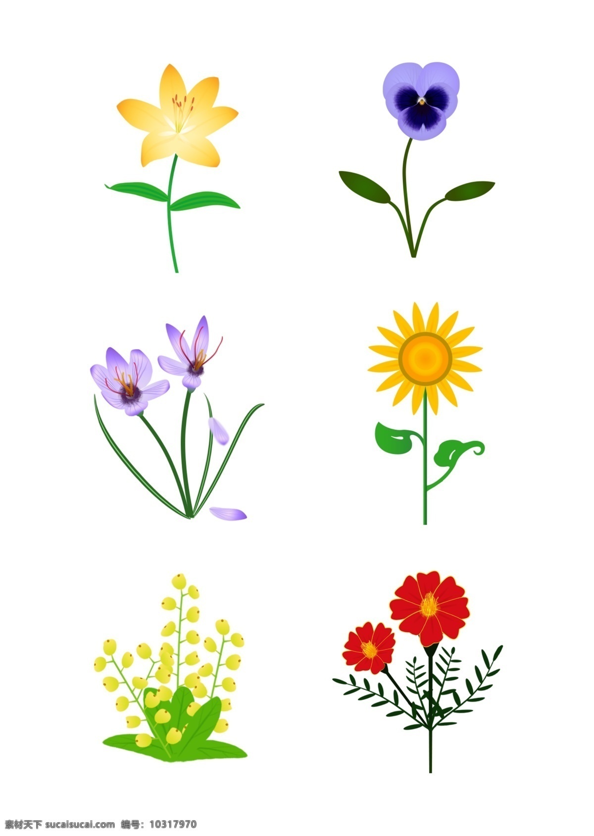 简约 手绘 矢量 向日葵 藏红花 花朵 叶子 元素 百合 三色堇 米兰花 孔雀草 绿叶 设计元素