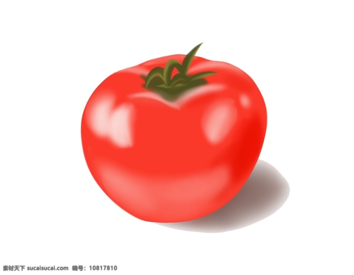 手绘 蔬菜 西红柿 矢量图 番茄 食物 水果