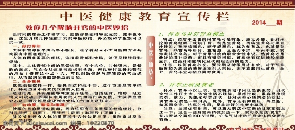中医 健康教育 宣传栏 健康 教育 医学 医院 卫生服务 养生 棕色 展板模板 矢量