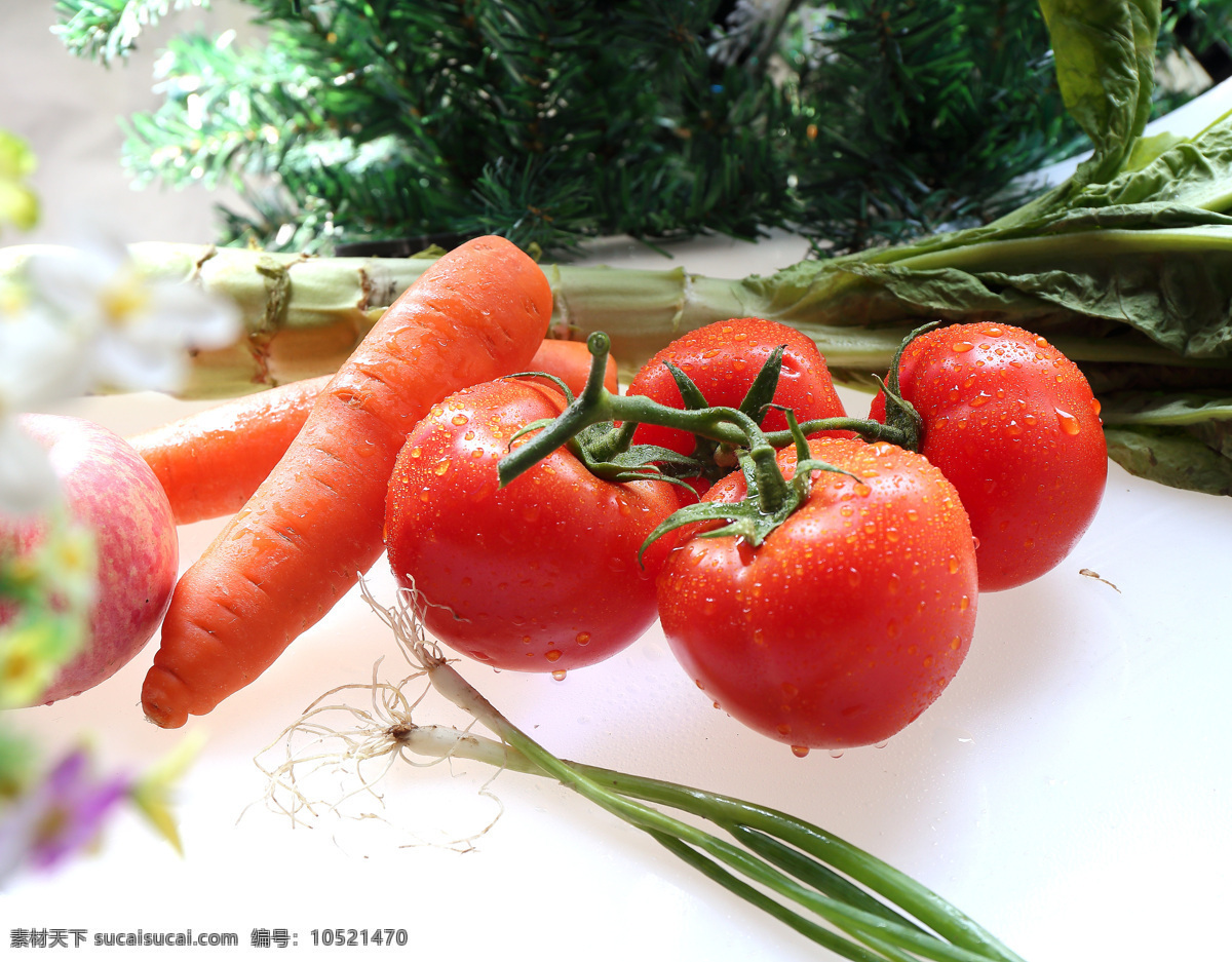 番茄 西红柿 新鲜蔬菜 蔬果 tomato 美妙人生 生物世界 蔬菜