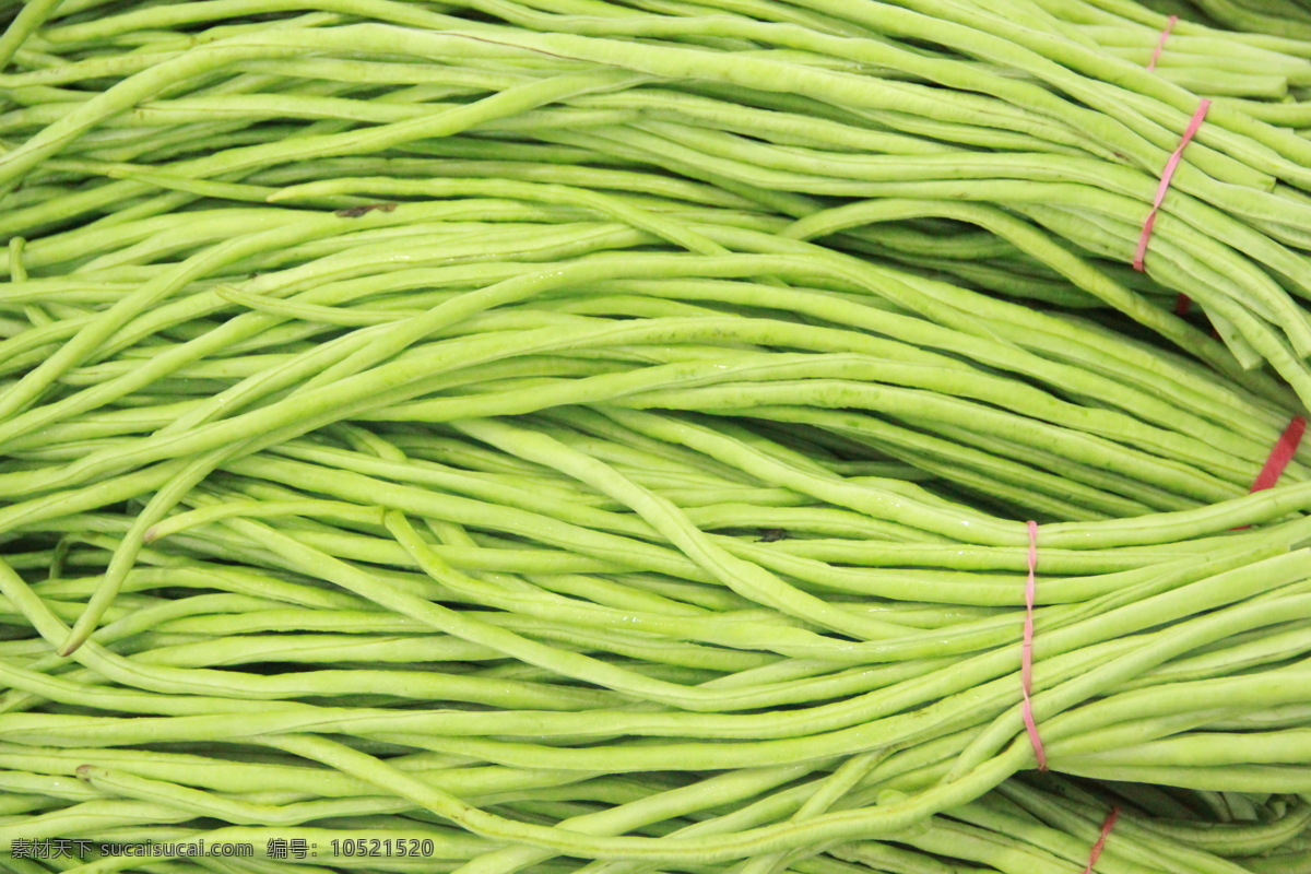 豇豆 豆角 长豇豆 蔬菜 菜市场 蔬果 生物世界